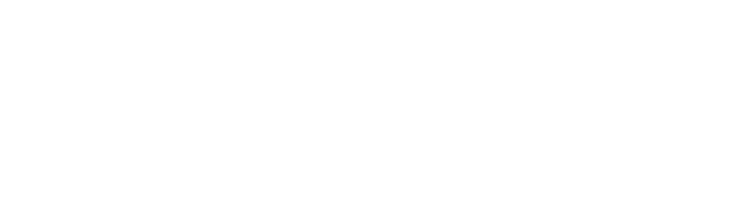 logo ergon white